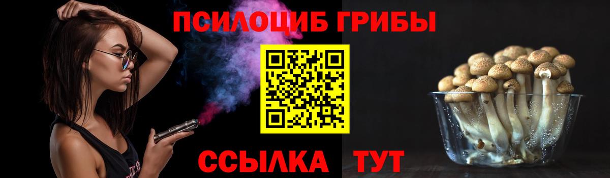 Заводоуковск  Галлюциногенные грибы Magic Shrooms  Вход с VPN  Псилоцибиновые грибы Cubensis 